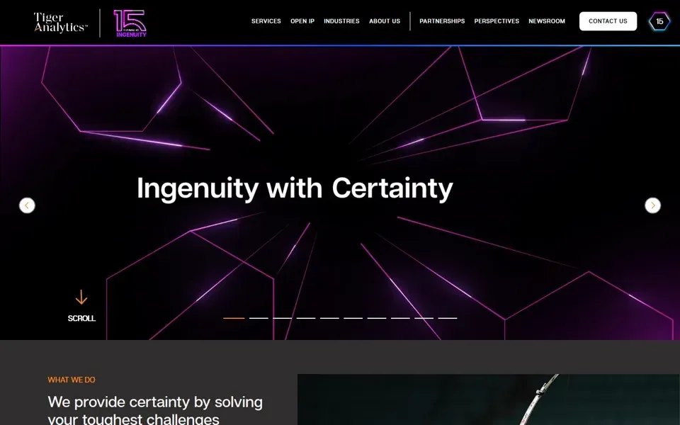 Tiger Analytics homepage
